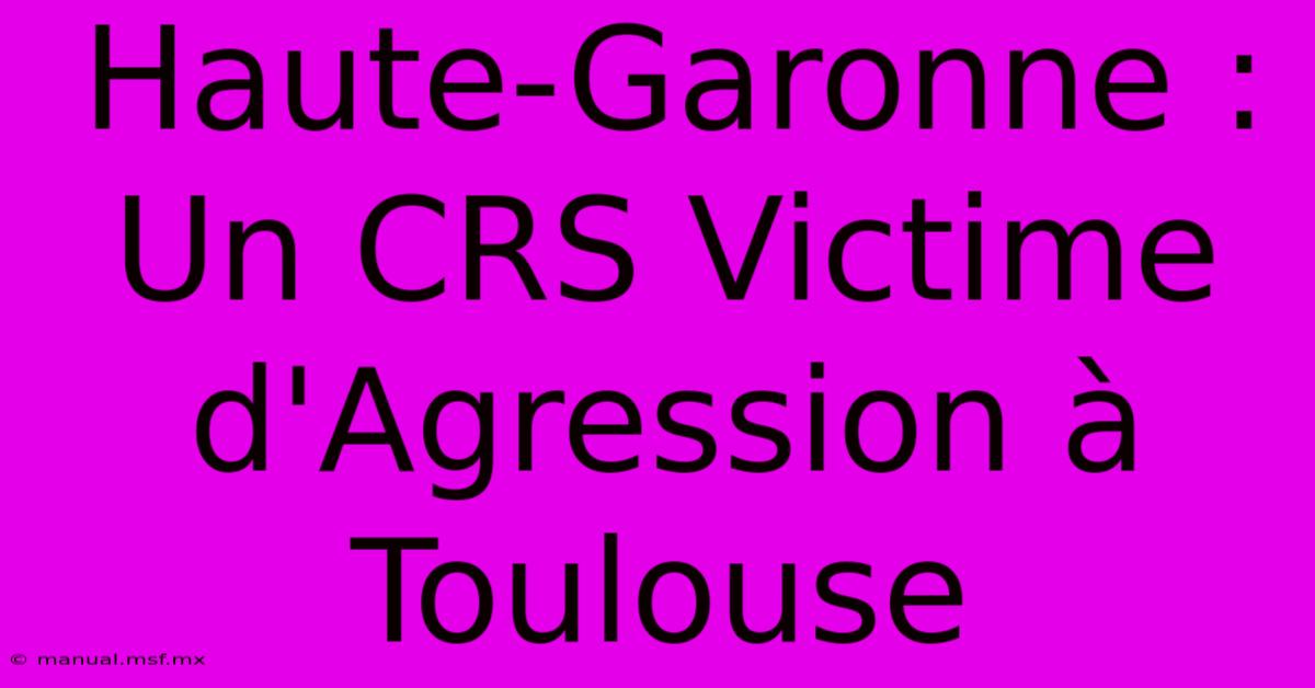 Haute-Garonne : Un CRS Victime D'Agression À Toulouse 