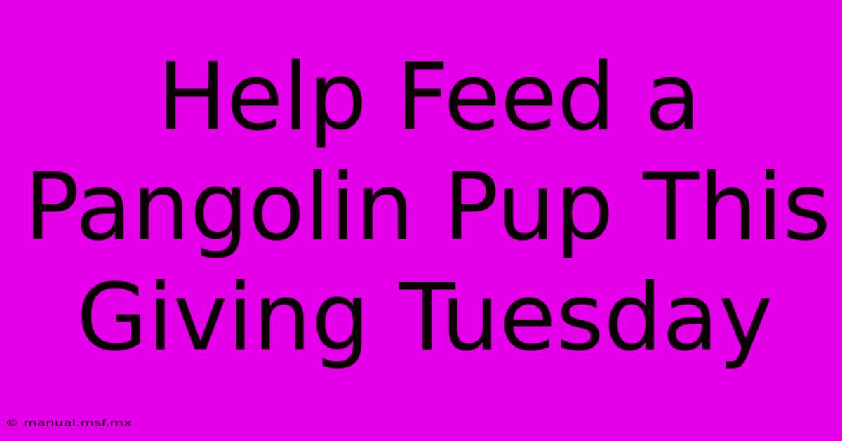 Help Feed A Pangolin Pup This Giving Tuesday