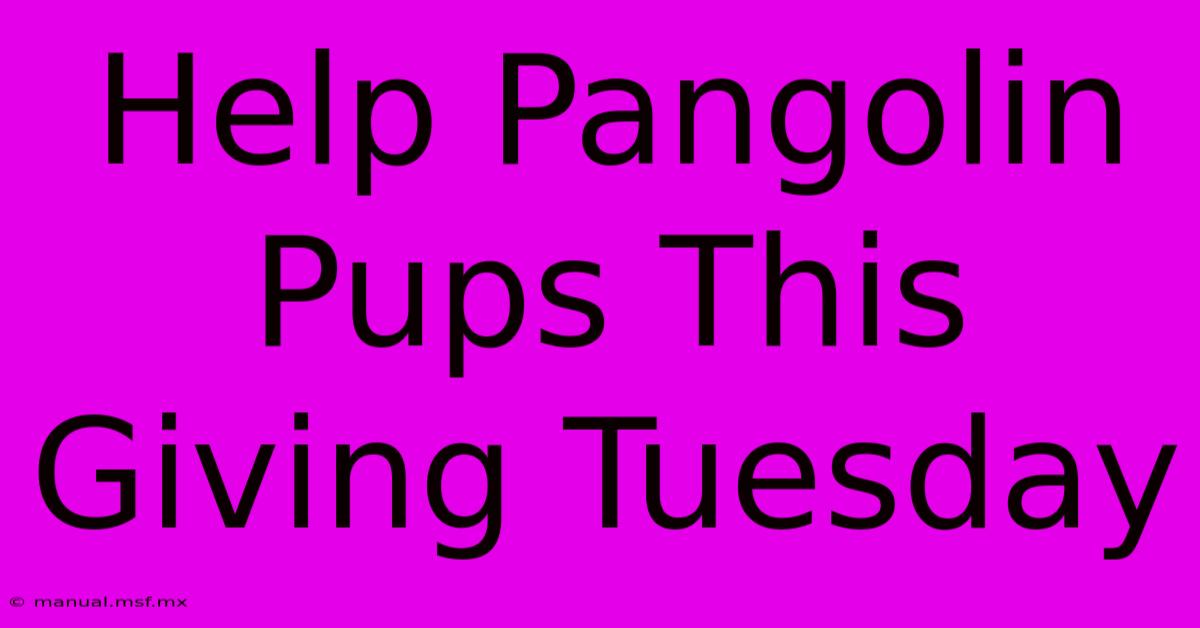 Help Pangolin Pups This Giving Tuesday 