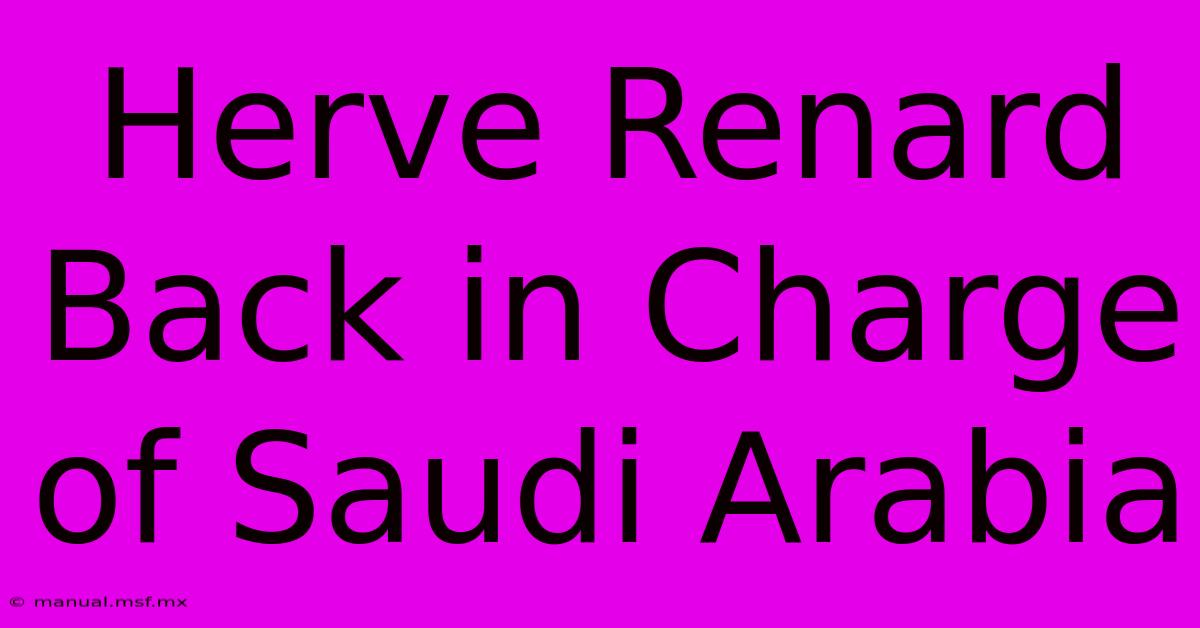 Herve Renard Back In Charge Of Saudi Arabia