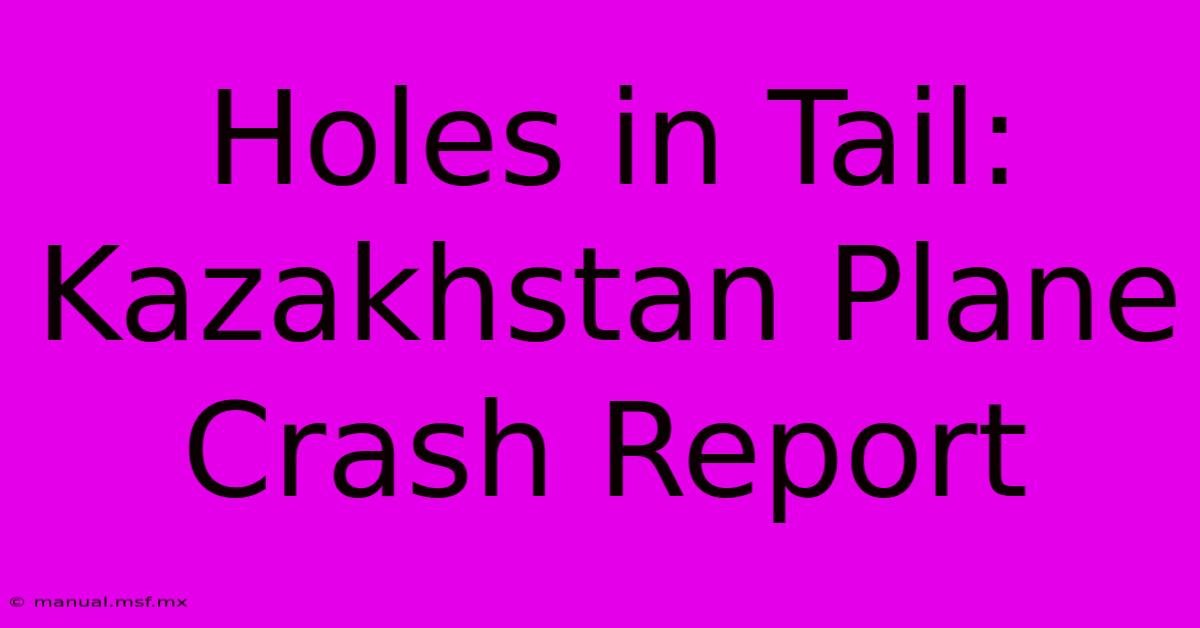 Holes In Tail: Kazakhstan Plane Crash Report