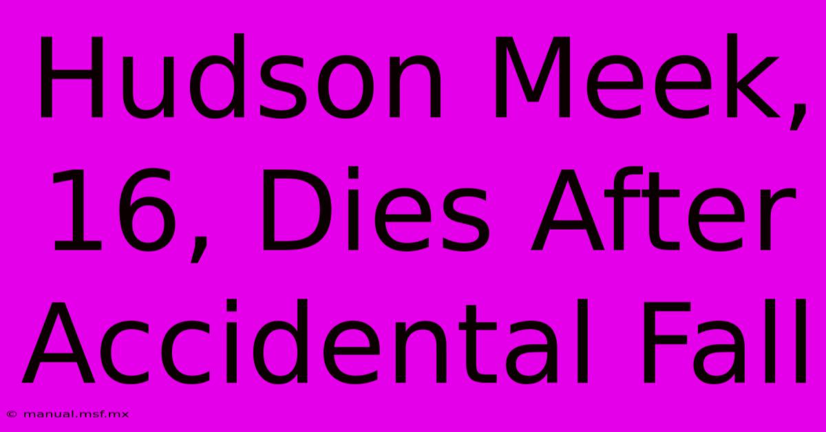 Hudson Meek, 16, Dies After Accidental Fall