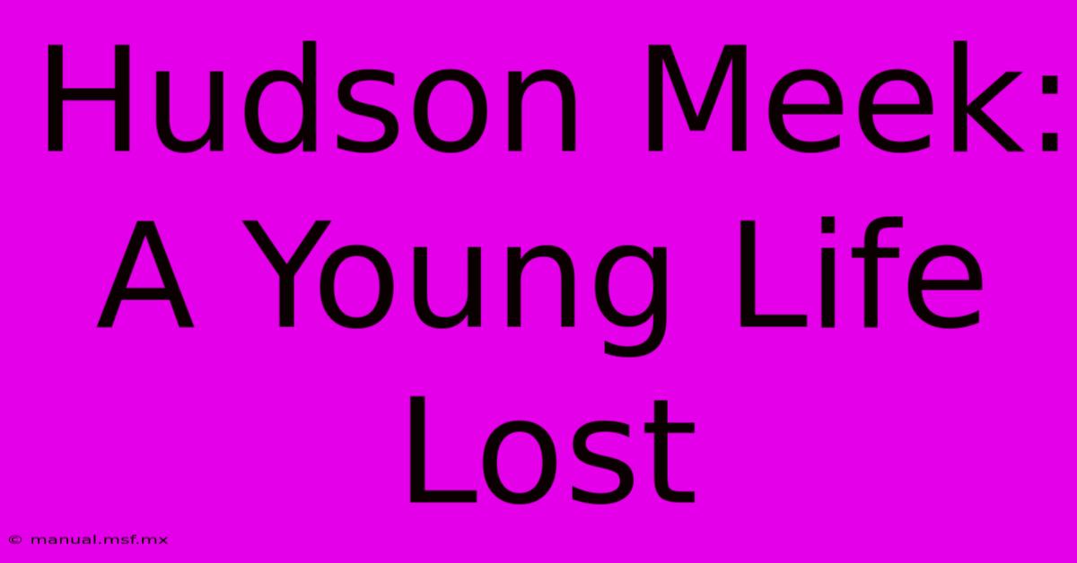 Hudson Meek: A Young Life Lost