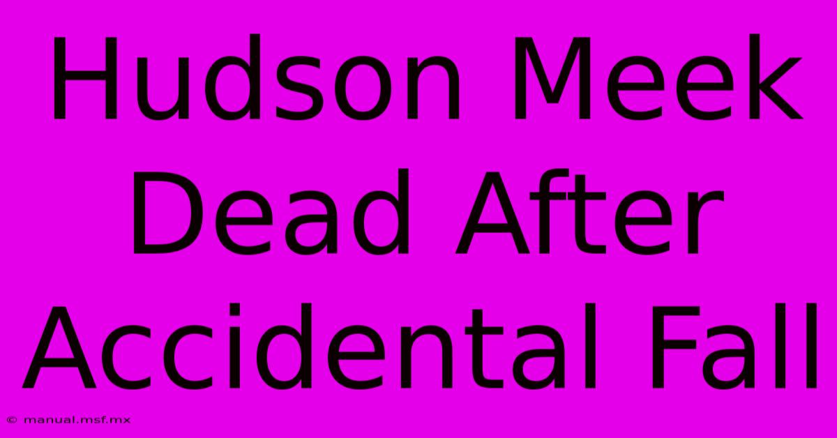 Hudson Meek Dead After Accidental Fall