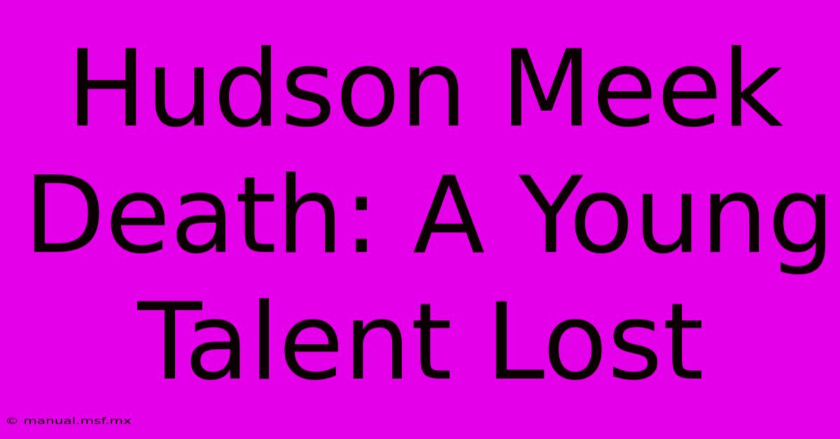 Hudson Meek Death: A Young Talent Lost