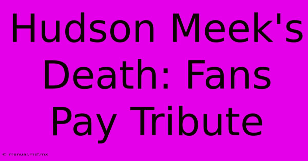 Hudson Meek's Death: Fans Pay Tribute