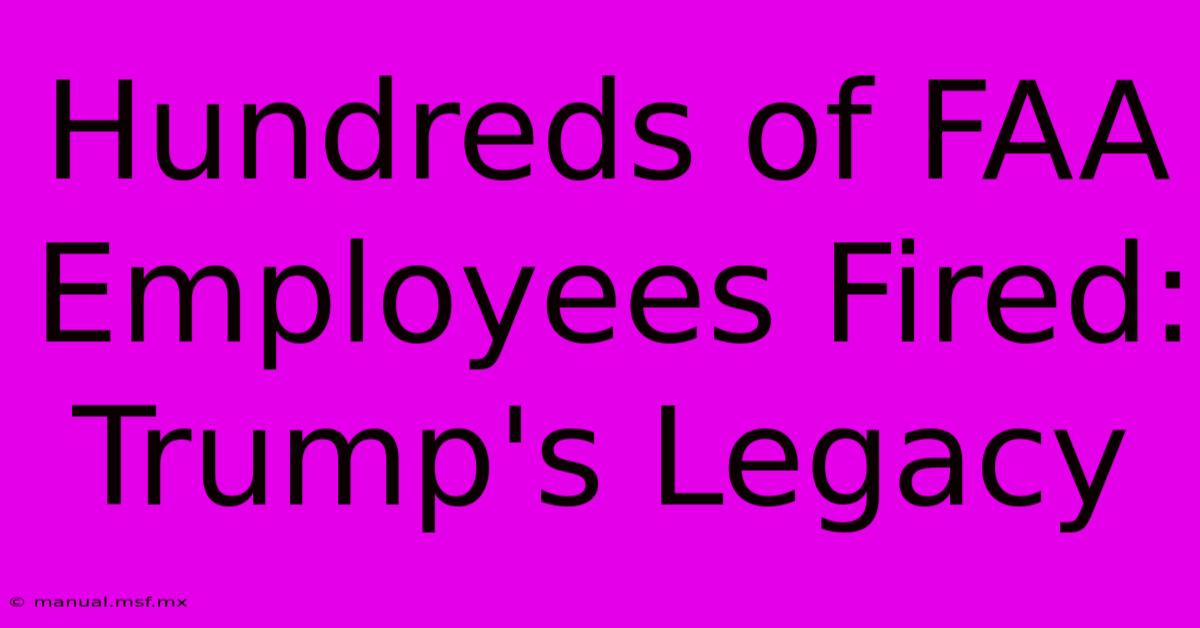 Hundreds Of FAA Employees Fired: Trump's Legacy