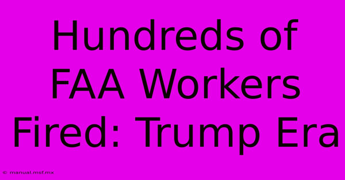 Hundreds Of FAA Workers Fired: Trump Era