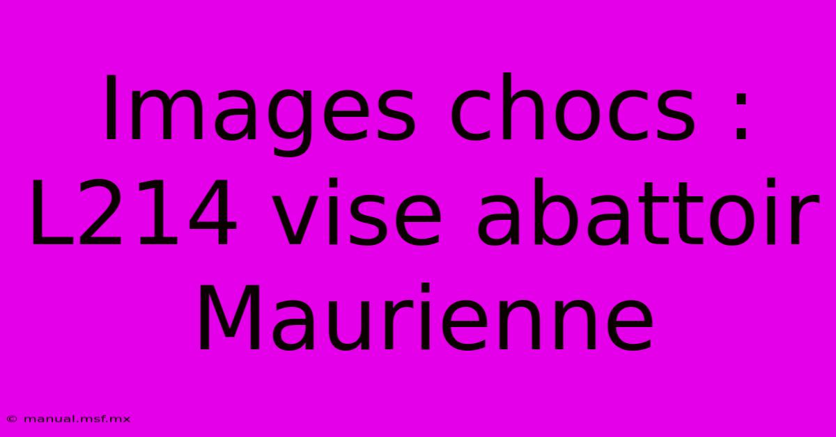 Images Chocs : L214 Vise Abattoir Maurienne