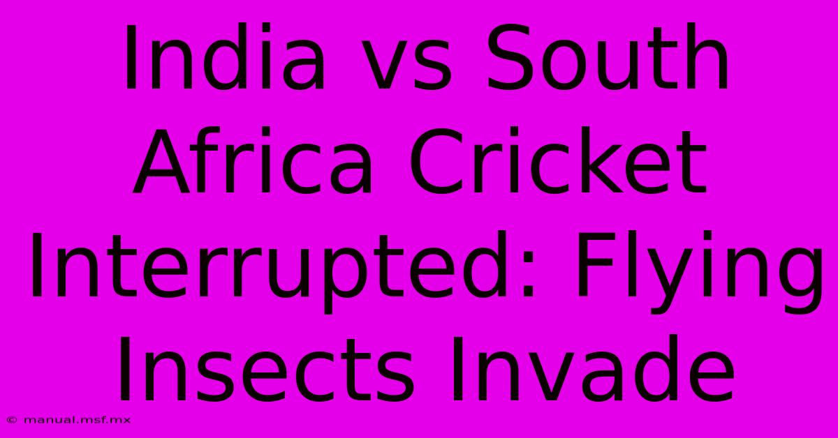 India Vs South Africa Cricket Interrupted: Flying Insects Invade 