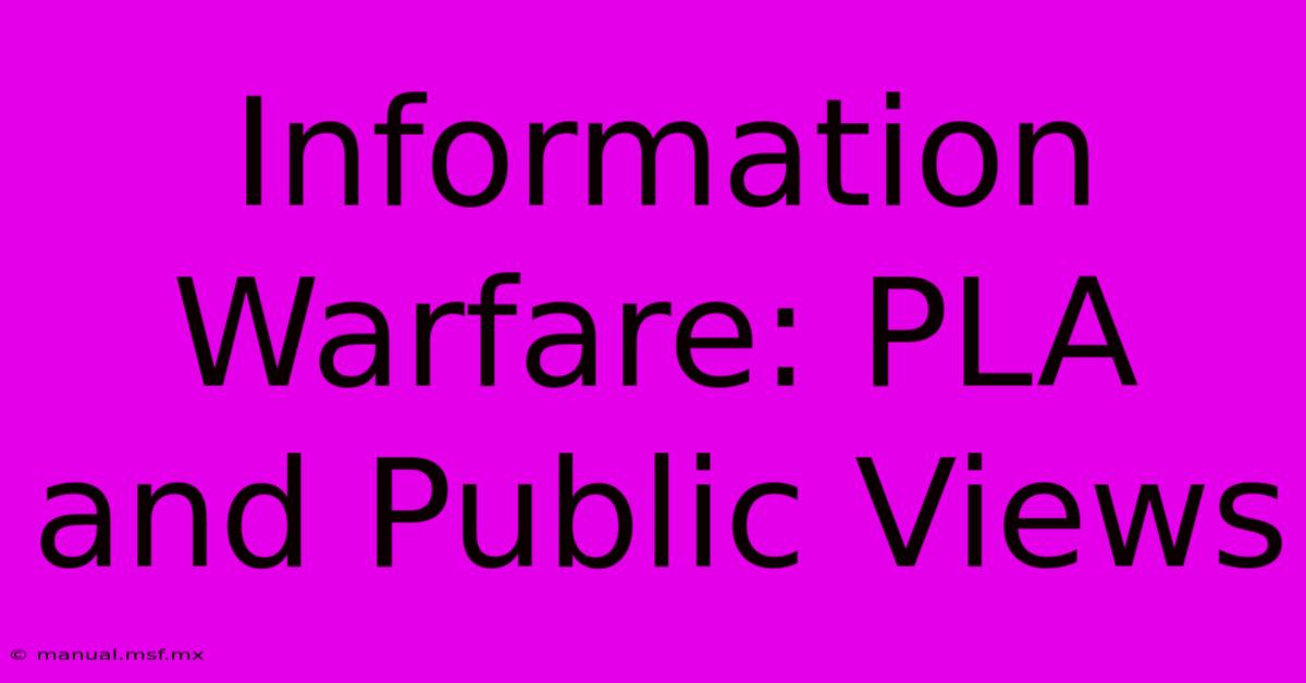 Information Warfare: PLA And Public Views