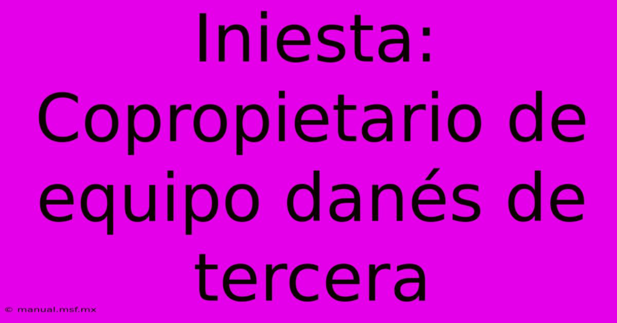 Iniesta: Copropietario De Equipo Danés De Tercera