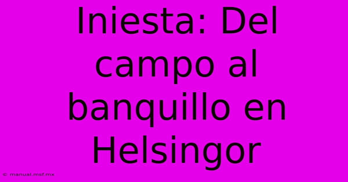 Iniesta: Del Campo Al Banquillo En Helsingor