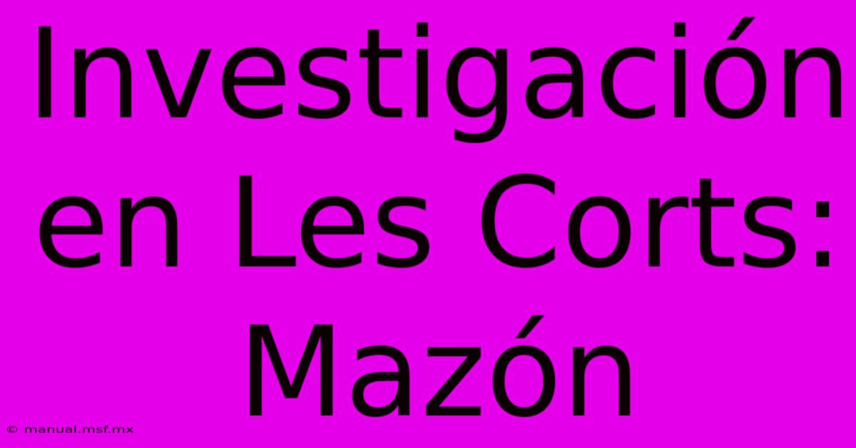 Investigación En Les Corts: Mazón