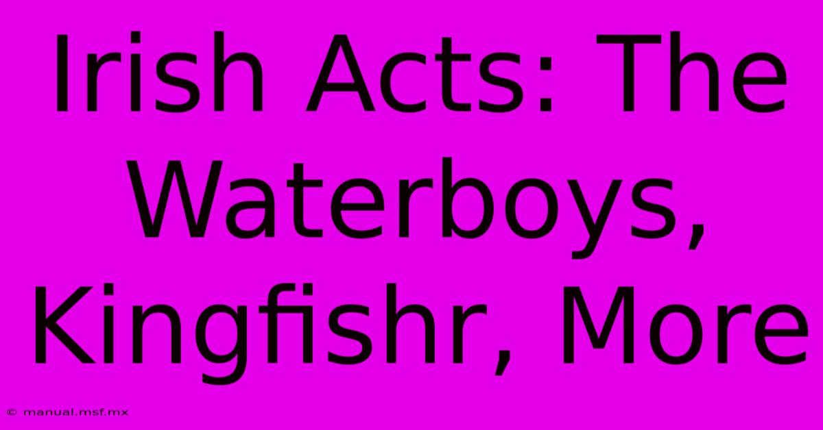 Irish Acts: The Waterboys, Kingfishr, More 