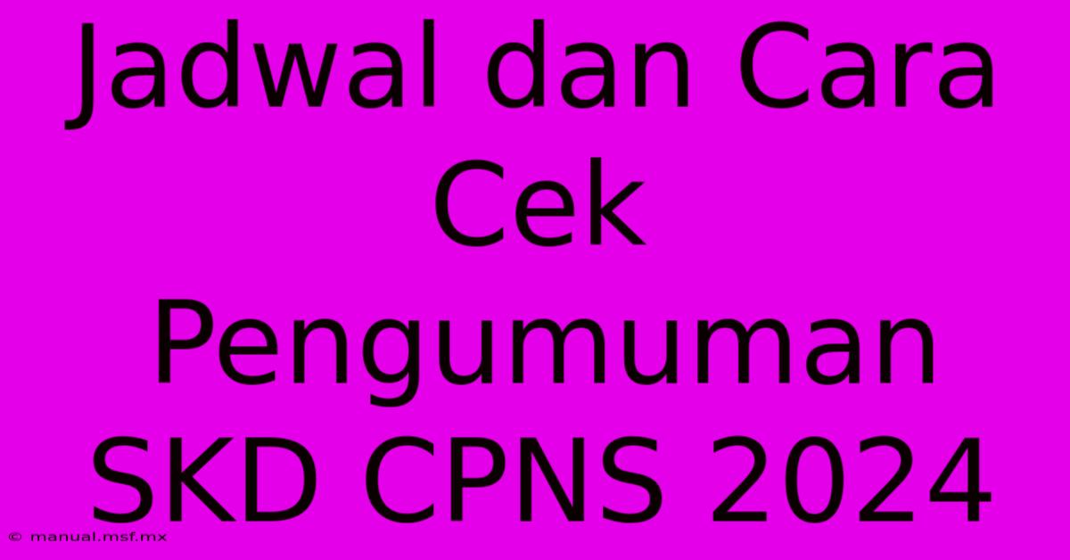 Jadwal Dan Cara Cek Pengumuman SKD CPNS 2024