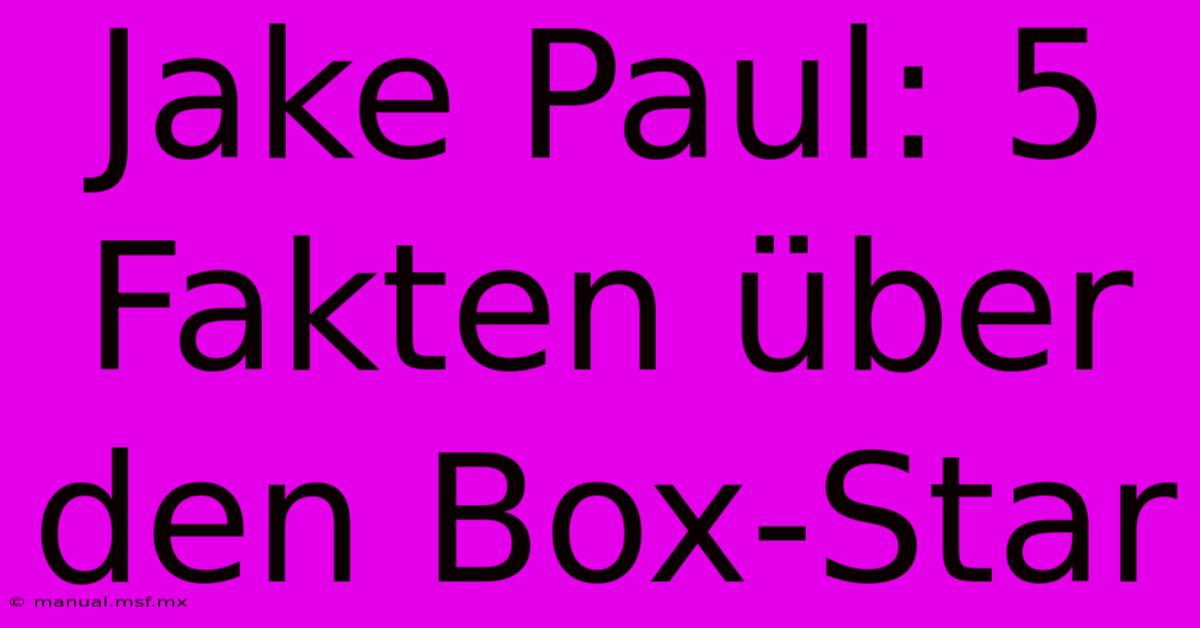 Jake Paul: 5 Fakten Über Den Box-Star