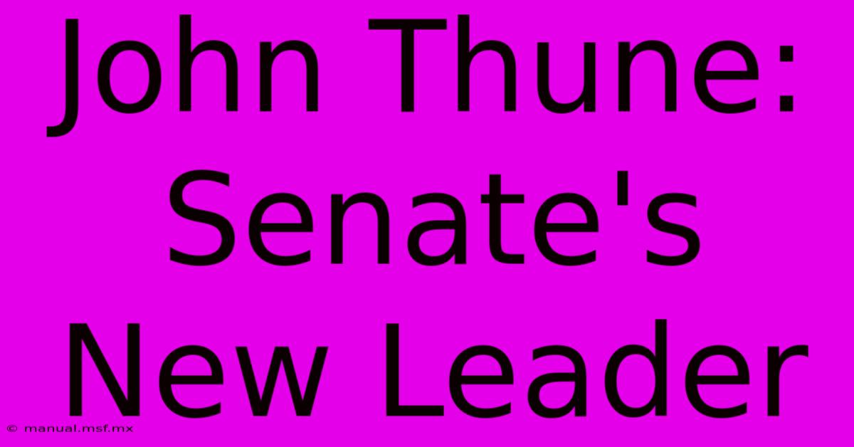 John Thune: Senate's New Leader 