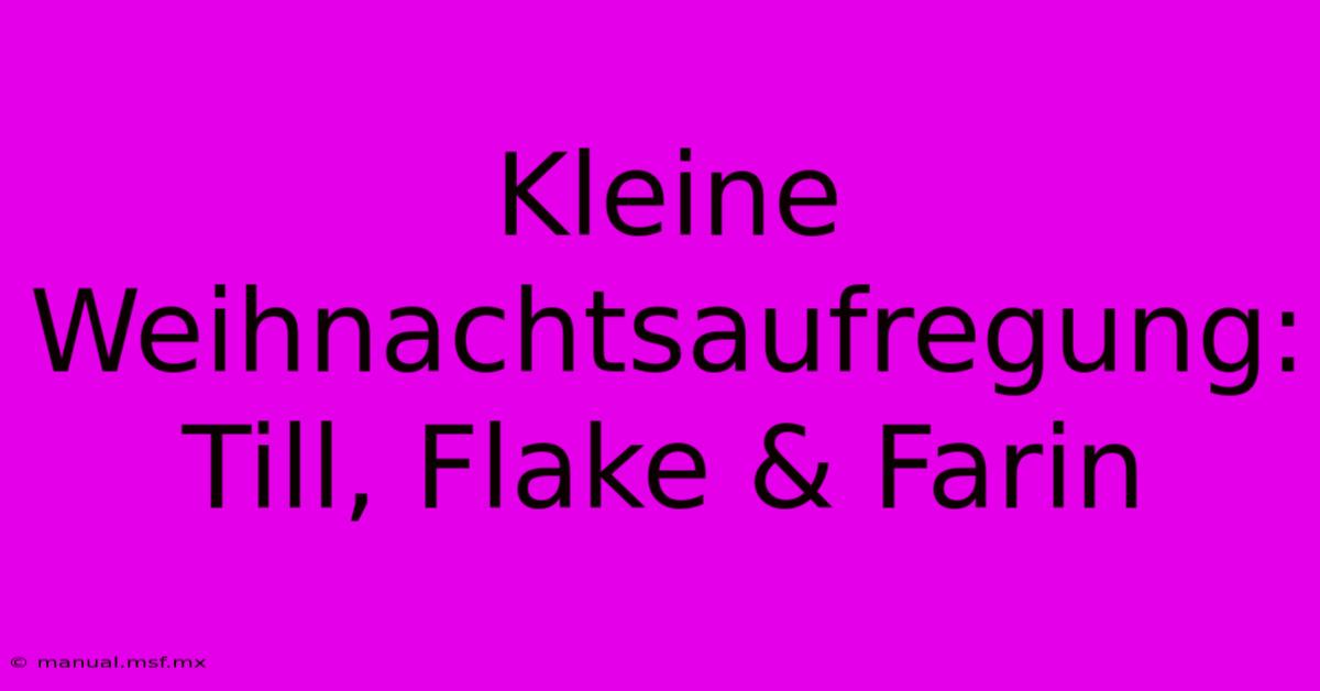 Kleine Weihnachtsaufregung: Till, Flake & Farin 