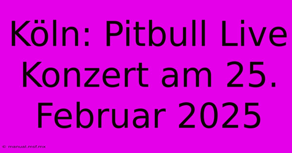 Köln: Pitbull Live Konzert Am 25. Februar 2025