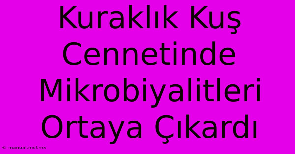 Kuraklık Kuş Cennetinde Mikrobiyalitleri Ortaya Çıkardı