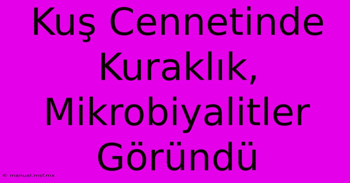 Kuş Cennetinde Kuraklık, Mikrobiyalitler Göründü