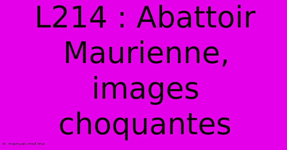 L214 : Abattoir Maurienne, Images Choquantes 