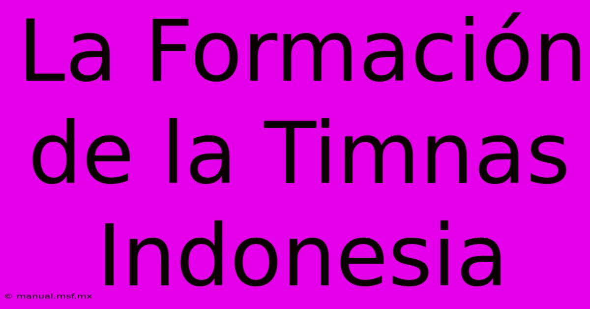 La Formación De La Timnas Indonesia