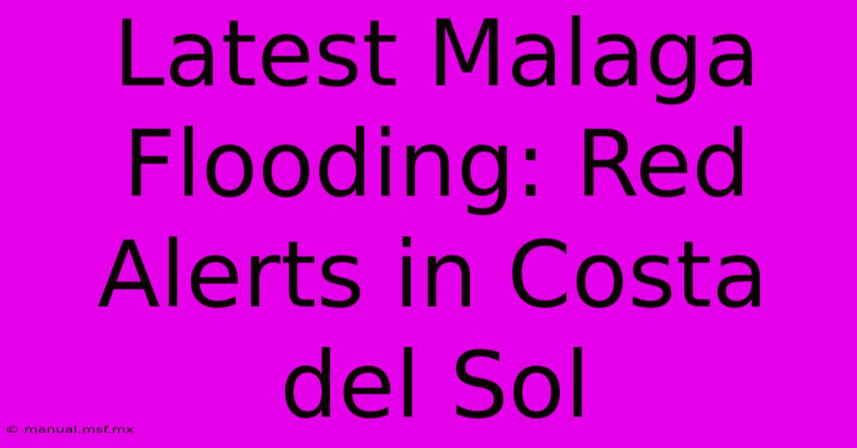 Latest Malaga Flooding: Red Alerts In Costa Del Sol