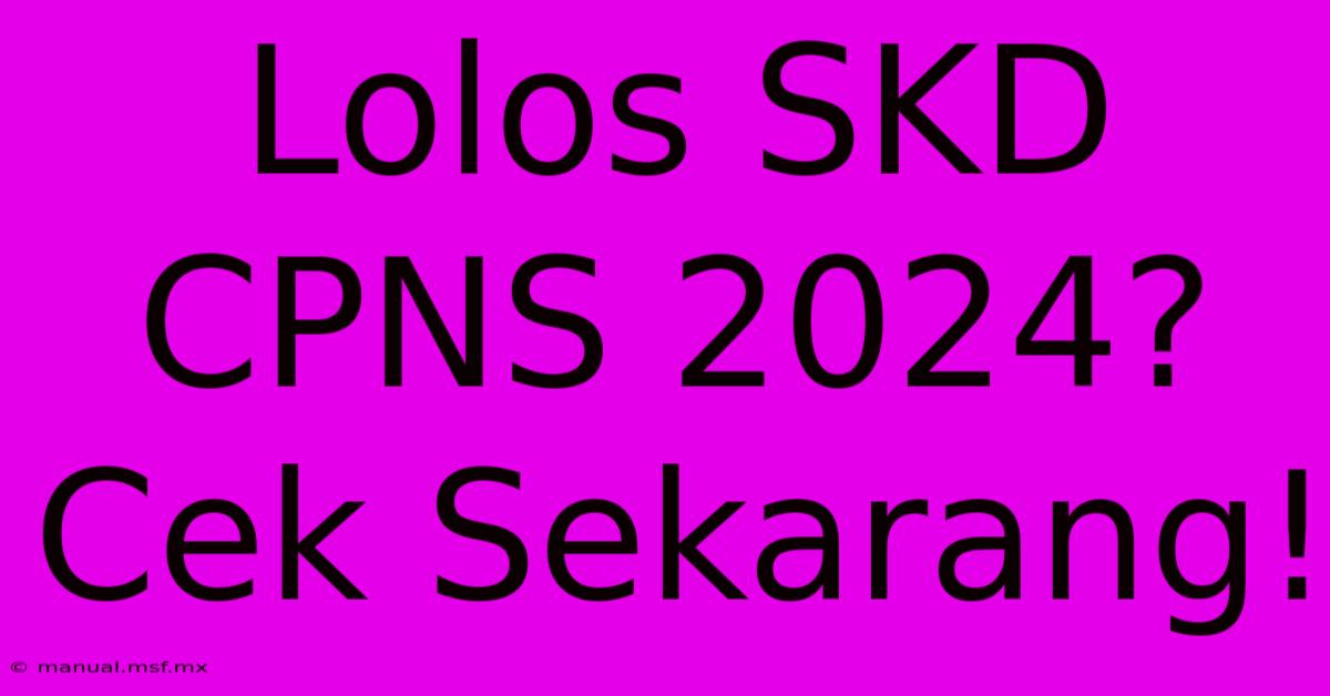 Lolos SKD CPNS 2024? Cek Sekarang!