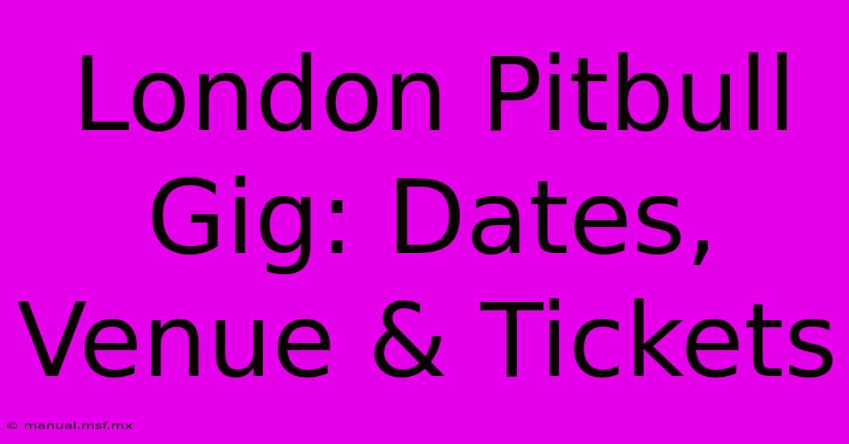 London Pitbull Gig: Dates, Venue & Tickets 