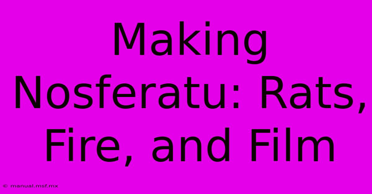 Making Nosferatu: Rats, Fire, And Film