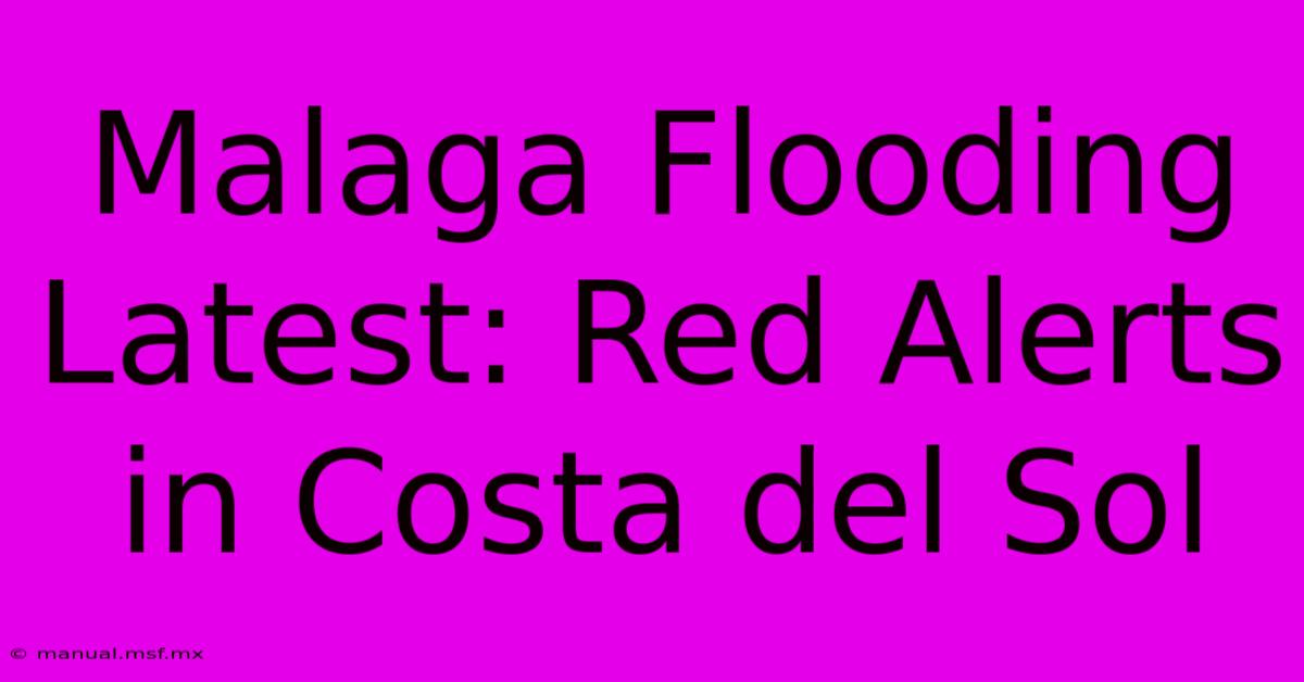 Malaga Flooding Latest: Red Alerts In Costa Del Sol