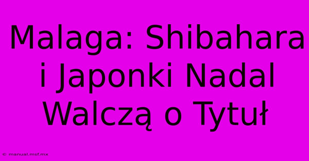 Malaga: Shibahara I Japonki Nadal Walczą O Tytuł