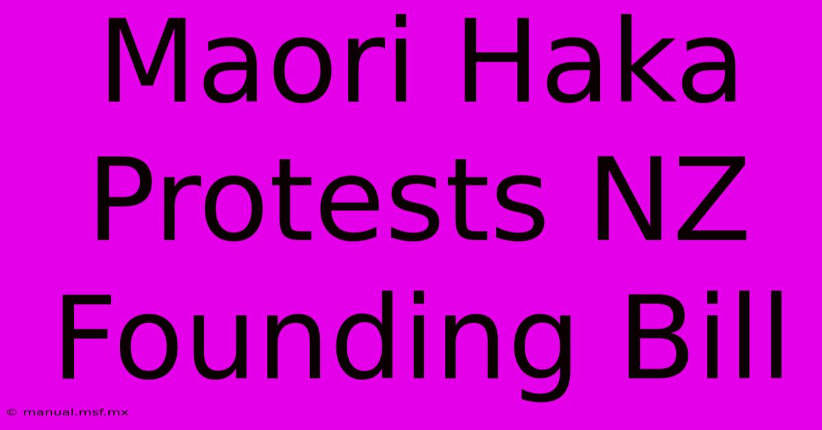 Maori Haka Protests NZ Founding Bill