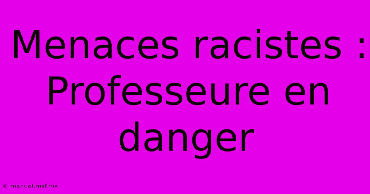 Menaces Racistes : Professeure En Danger