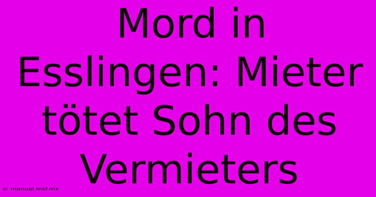 Mord In Esslingen: Mieter Tötet Sohn Des Vermieters