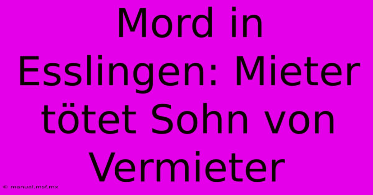 Mord In Esslingen: Mieter Tötet Sohn Von Vermieter