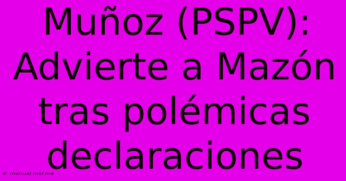 Muñoz (PSPV): Advierte A Mazón Tras Polémicas Declaraciones