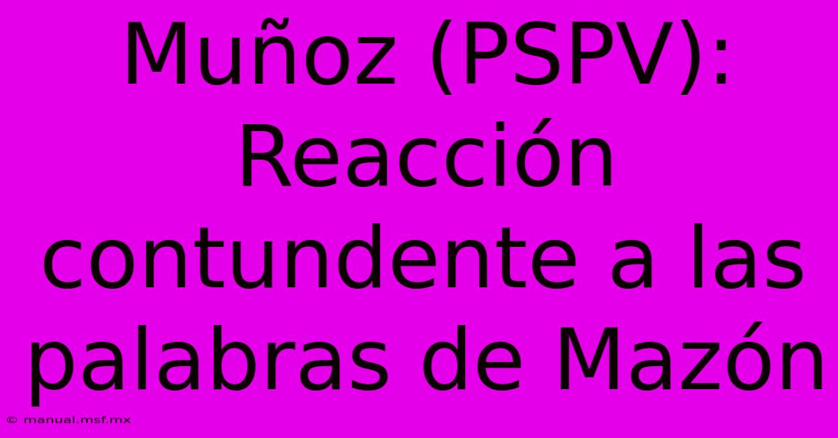 Muñoz (PSPV): Reacción Contundente A Las Palabras De Mazón