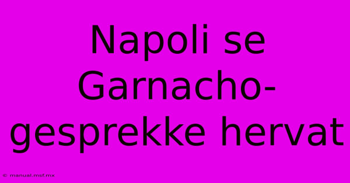 Napoli Se Garnacho-gesprekke Hervat