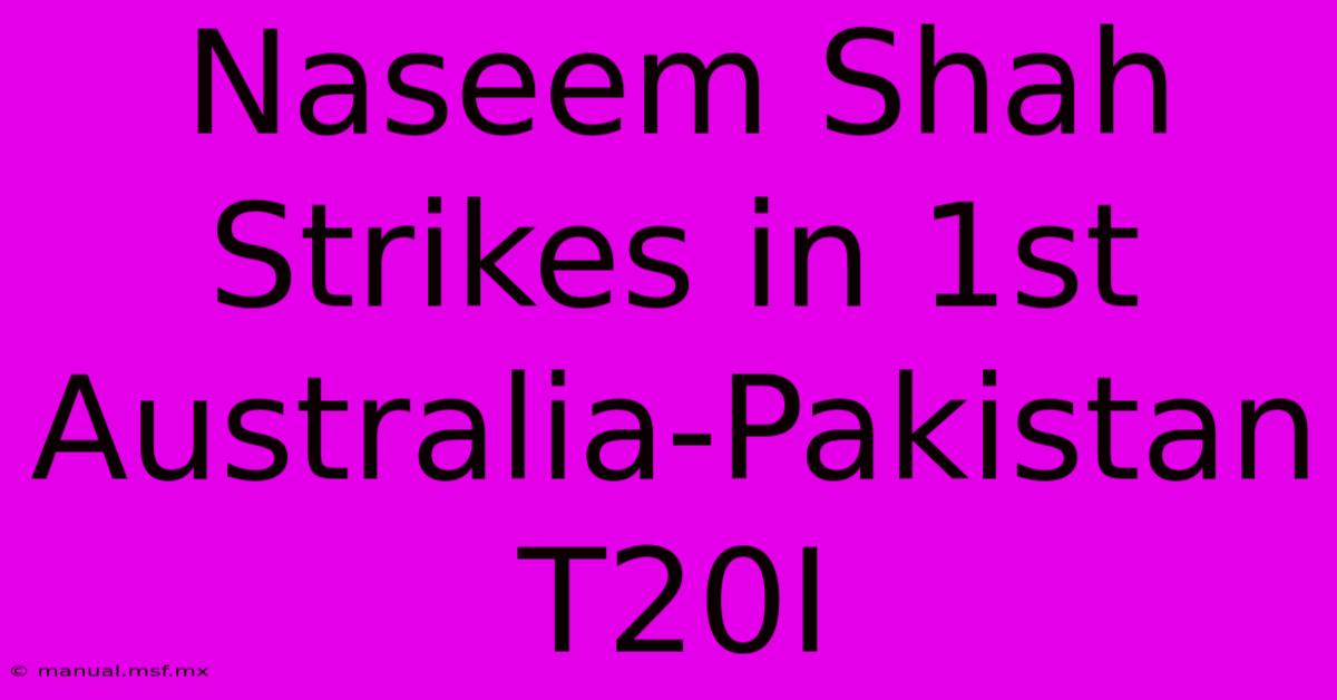 Naseem Shah Strikes In 1st Australia-Pakistan T20I