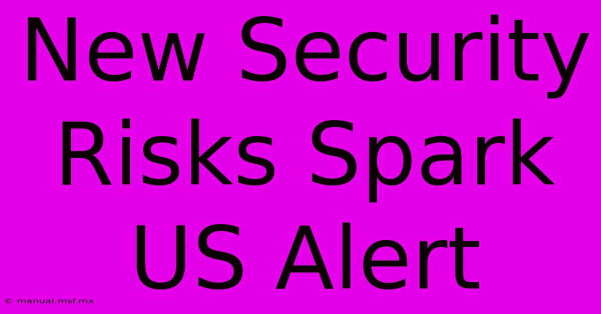 New Security Risks Spark US Alert