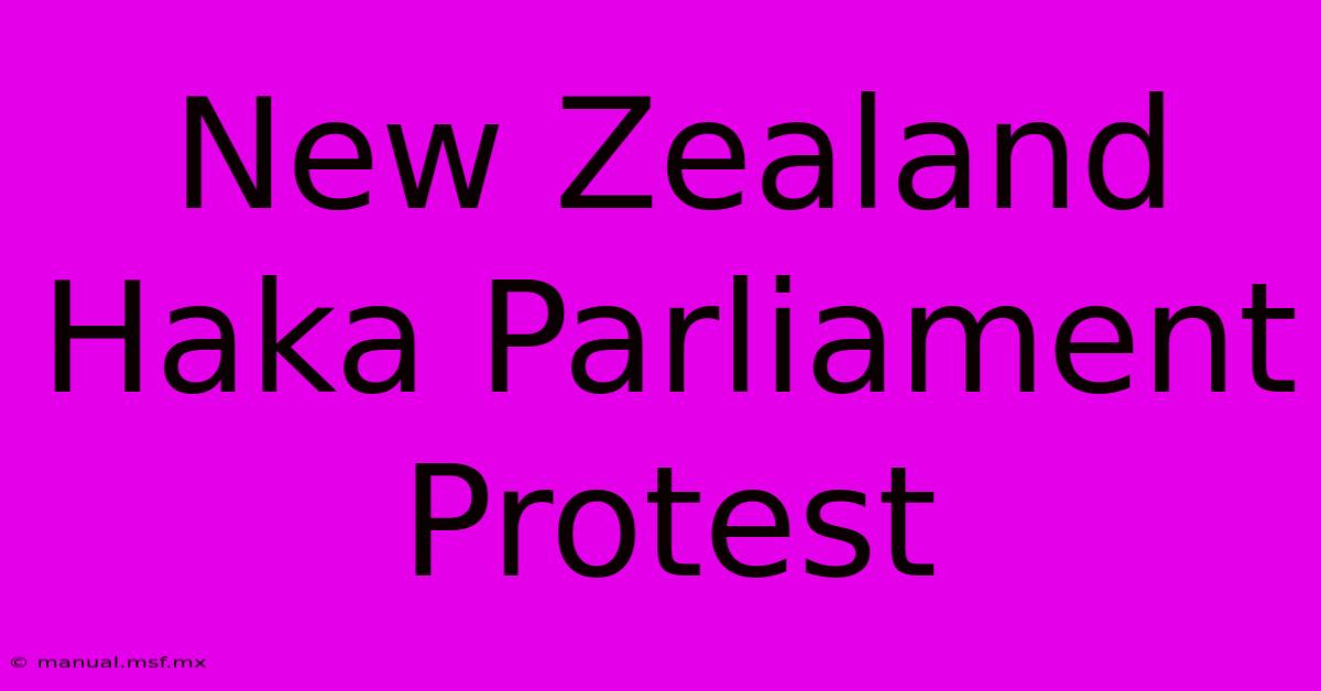 New Zealand Haka Parliament Protest