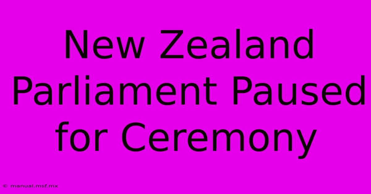 New Zealand Parliament Paused For Ceremony