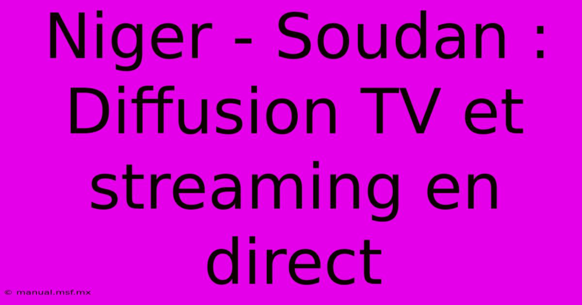 Niger - Soudan : Diffusion TV Et Streaming En Direct 