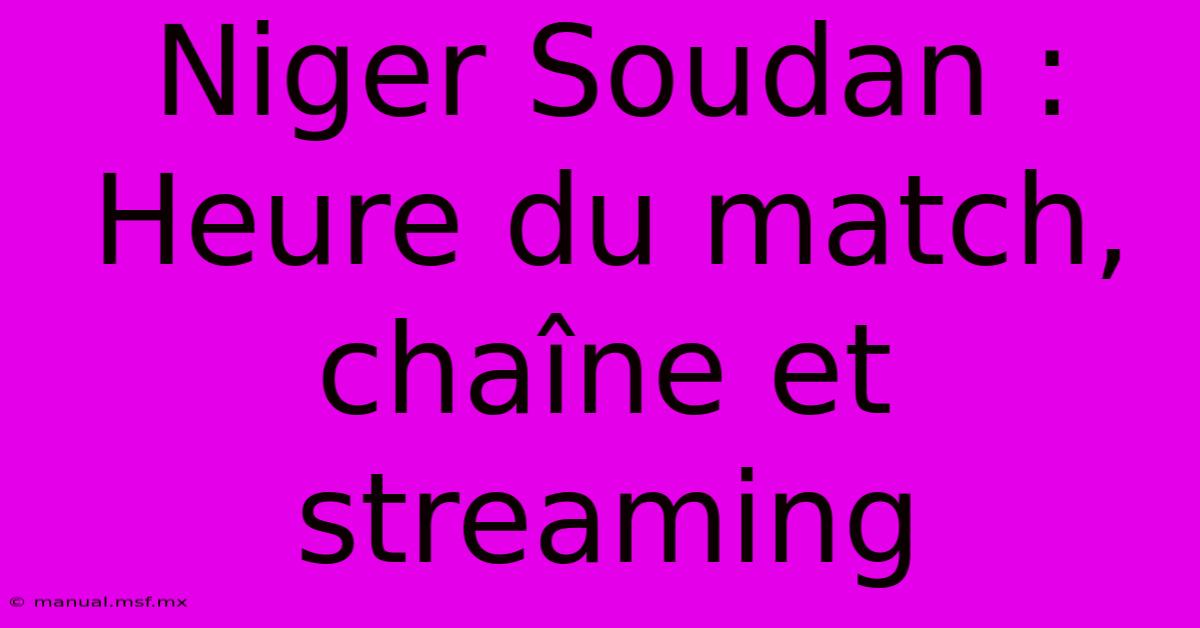 Niger Soudan : Heure Du Match, Chaîne Et Streaming