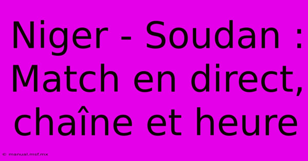 Niger - Soudan : Match En Direct, Chaîne Et Heure