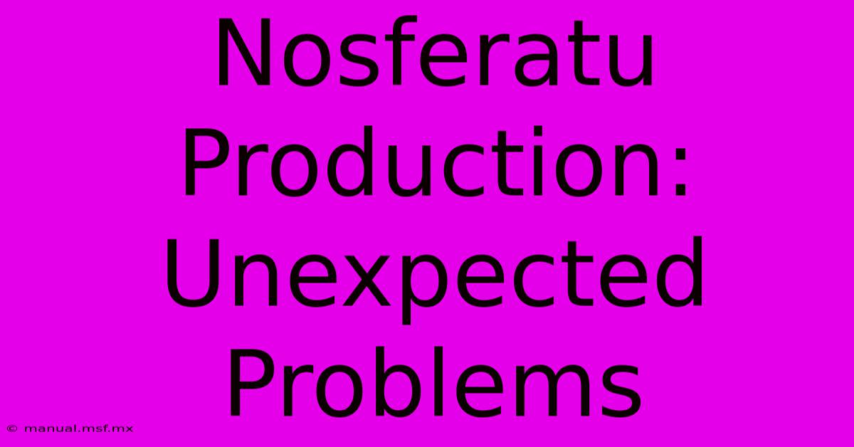 Nosferatu Production: Unexpected Problems