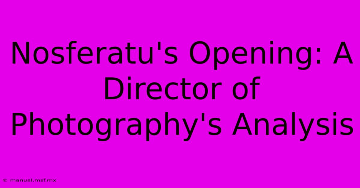 Nosferatu's Opening: A Director Of Photography's Analysis